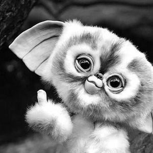 Meet your Posher, Sade